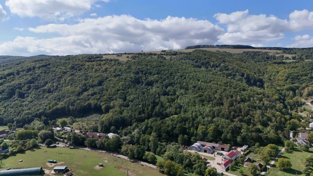 Nová Bošáca – Kvalitný les v rubnej dobe 4,6ha
