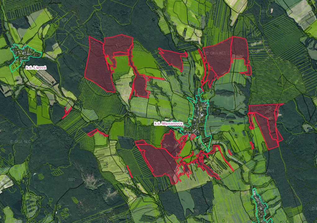 Mlynárovce – Spoluvlastnícky podiel lesov a pasienkov (URBÁR)