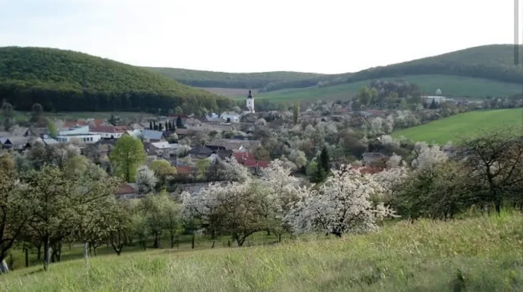 Cinobaňa – Spoluvlastnícke podiely lesov a pasienkov (URBÁR)